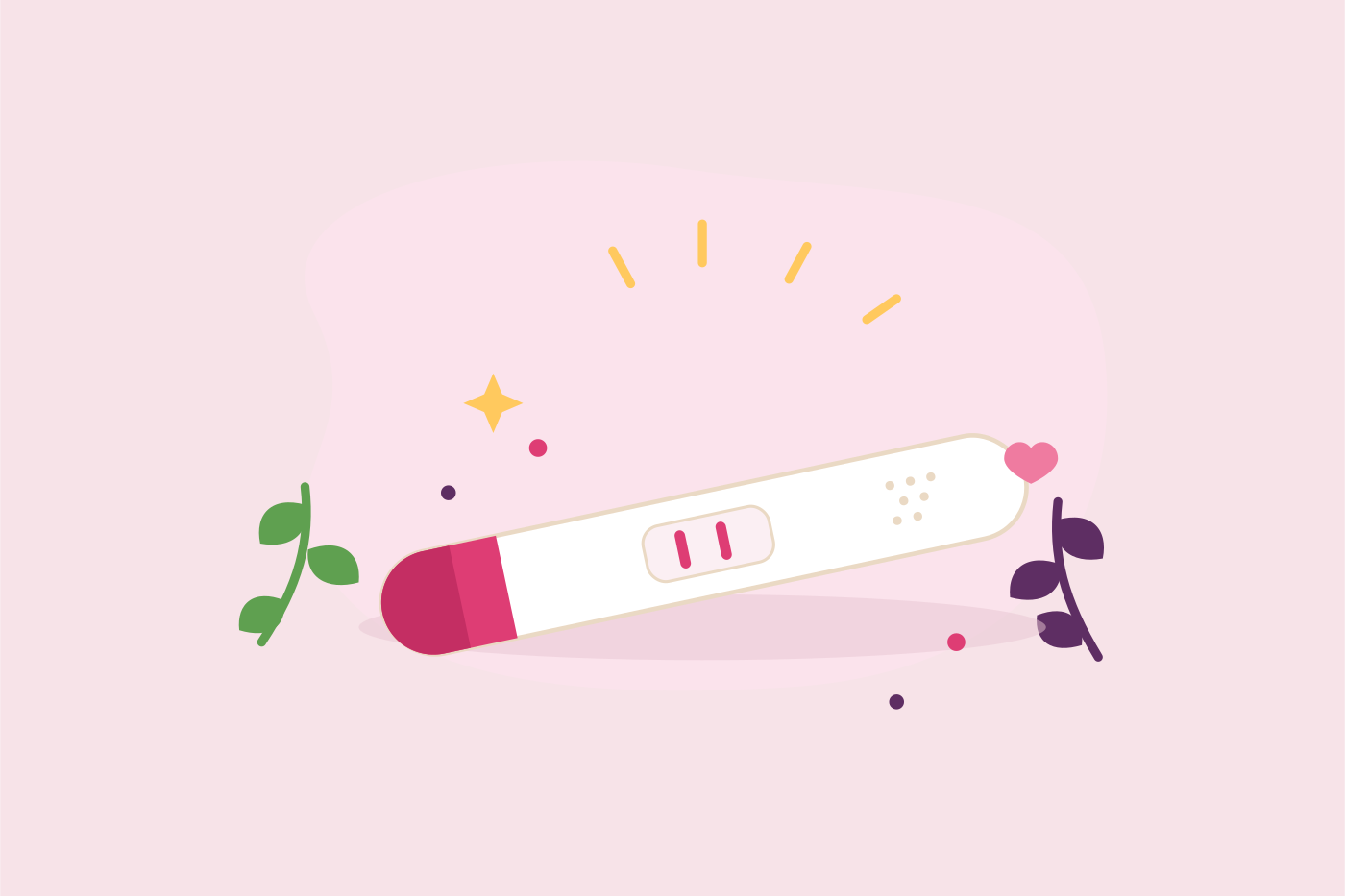 Un test de grossesse positif à deux barres